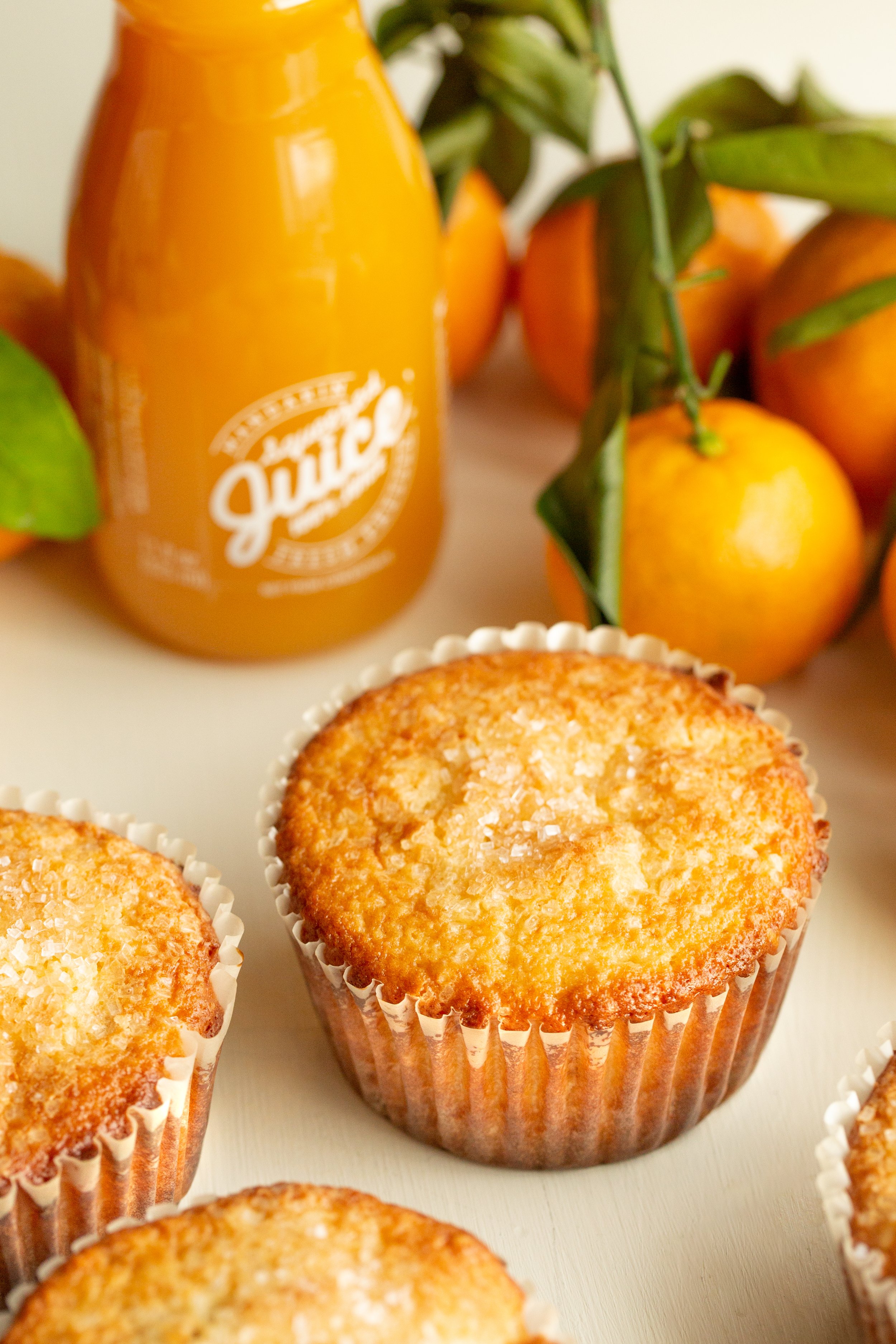 Orange Cranberry Squeezed Juice Muffin-8.jpg