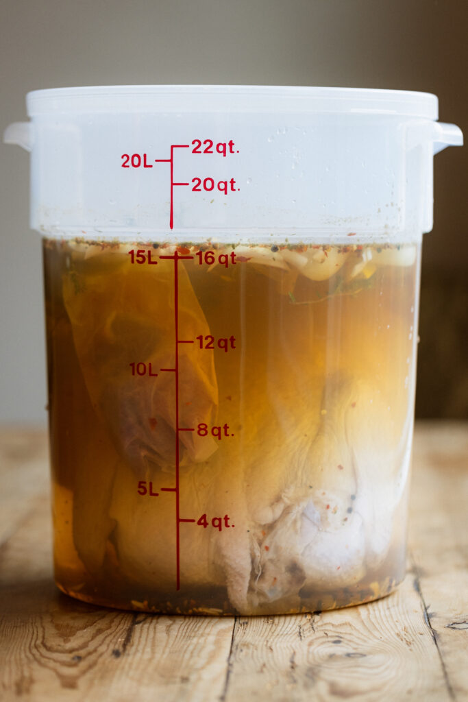 A large 22 quart cambro food storage container filled with an easy organic turkey brine and a large, raw turkey soaking in the brining liquid. 